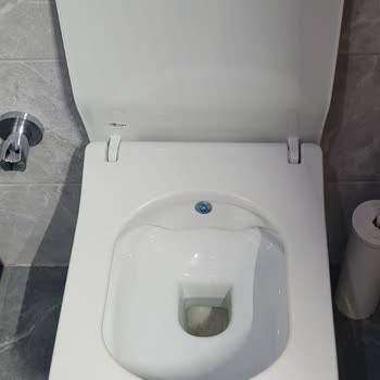 Epttavm'den Alınan Klozet Kapağında Fren Aparatı Sorunu