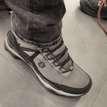 Hammer Jack Bot İncelemesi İçin Yanıt Bekleniyor