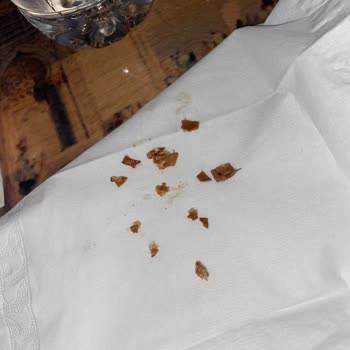 Granola İçinde Ceviz Kabuğu Şoku