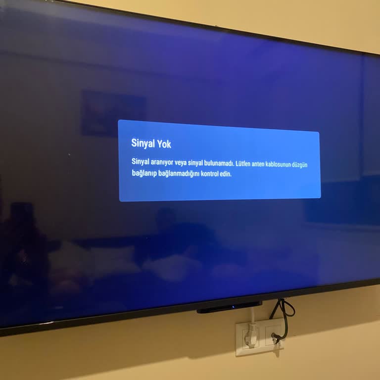 Toshiba TV'de TRT 1 Yayın Sorunu