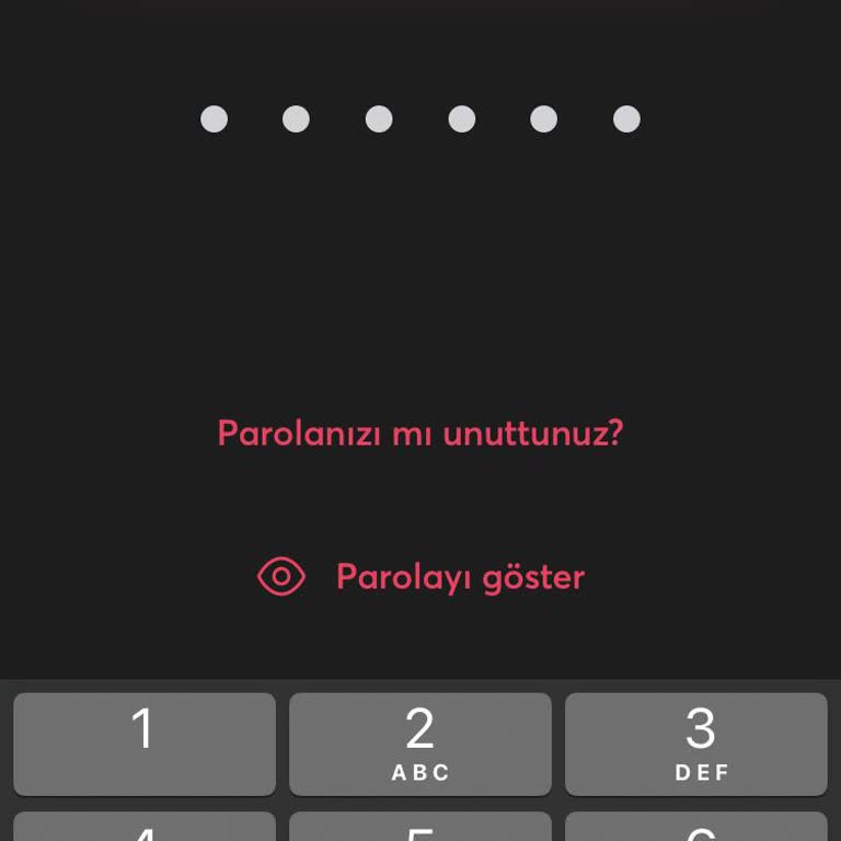 İninal Hesabına Erişim Sorunu Ve Bloke Olan Sim Kart