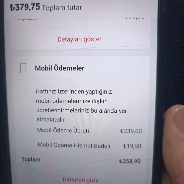 Yanlışlıkla Başlatılan Abonelik Ve İade Sorunu