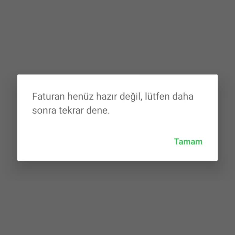 Fatura Oluşmama Sorunu: 20 Gündür Çözüm Bekliyorum