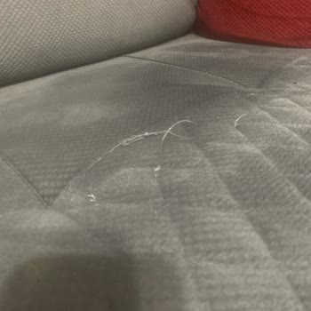 Olivya Koltuk Takımı Hayal Kırıklığı Ve Kötü İletişim