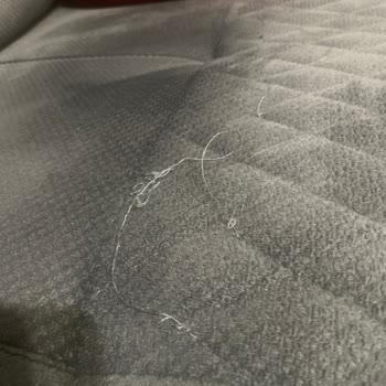 Olivya Koltuk Takımı Hayal Kırıklığı Ve Kötü İletişim