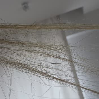 Ejder Servet Kuaför Saçlarımda Kopmalar Oldu