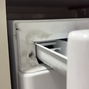 LG Çamaşır Makinesi Kıyafetleri Mahvediyor Ve Servis İlgisiz