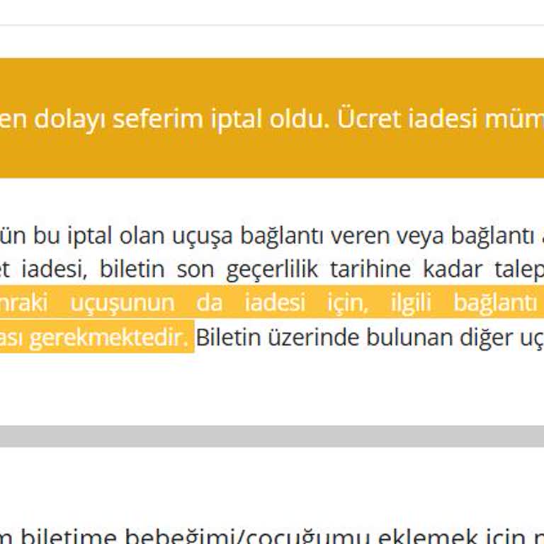 Uçuş Ertelemesi Nedeniyle Mağduriyet Ve İptal Ücreti Sorunu