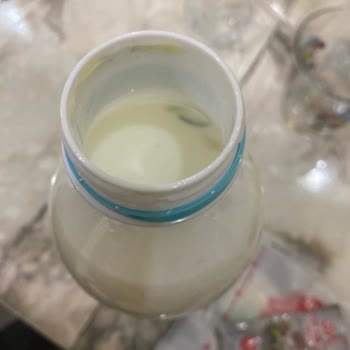 Küflü Ayran Şoku