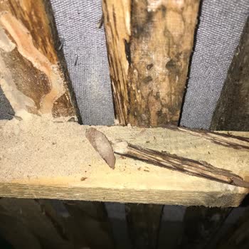 Mobilya Alışverişimde Yaşadığım Sorunlar Ve Çözüm Eksikliği