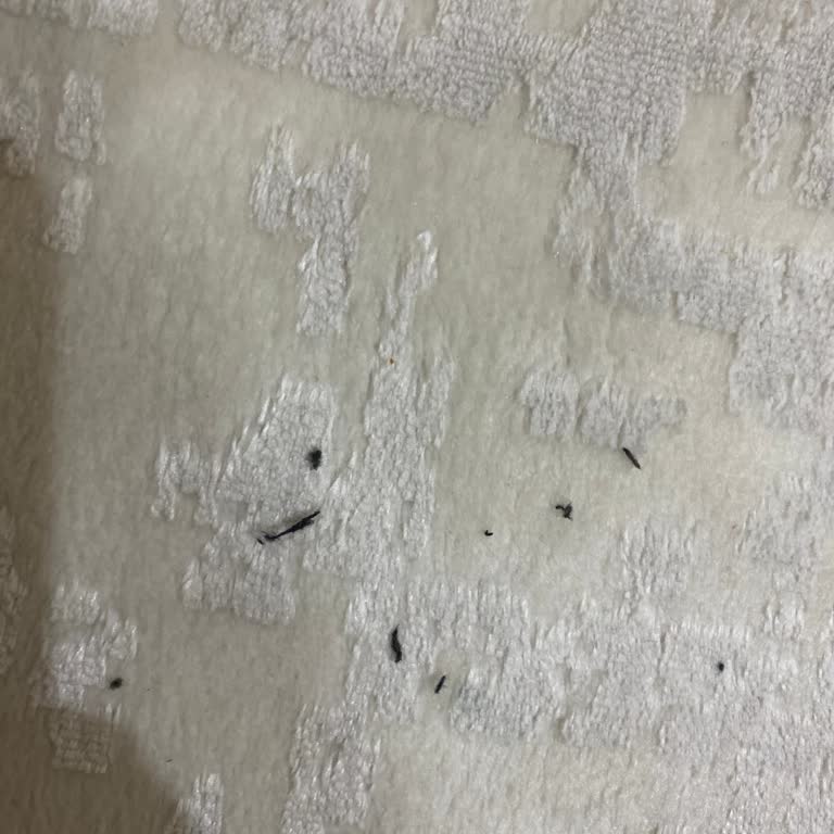 Kadife Pijama Takımının Tüy Dökme Sorunu