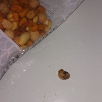 Kuruyemişte Taş Çıktı: Gıda Güvenliği İhmali