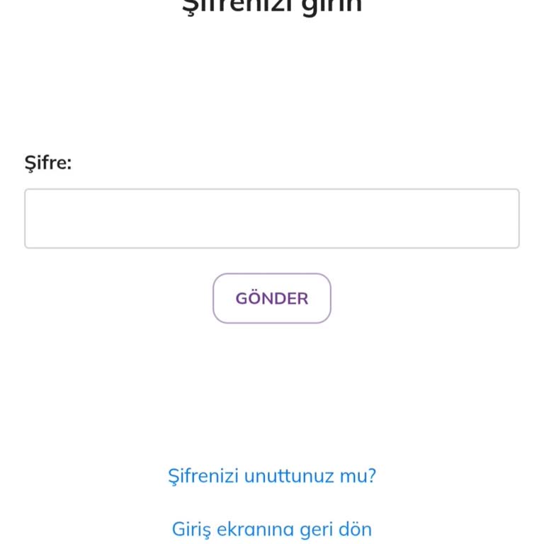 Telefon Numarası Değişikliği Nedeniyle Hesaba Erişim Sorunu