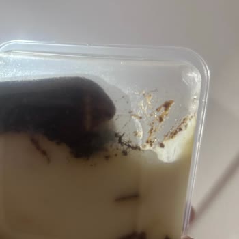 Hijyen Sorunu Ve Sağlık Tehlikesi