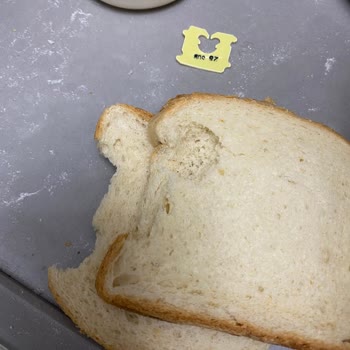Migros'tan Gelen Fareli Tost Ekmeği Şoku!