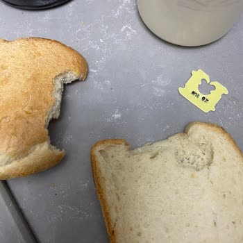 Migros'tan Gelen Fareli Tost Ekmeği Şoku!