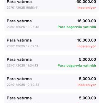 Yatırım Platformunda Mağduriyet Ve Para İadesi Talebi