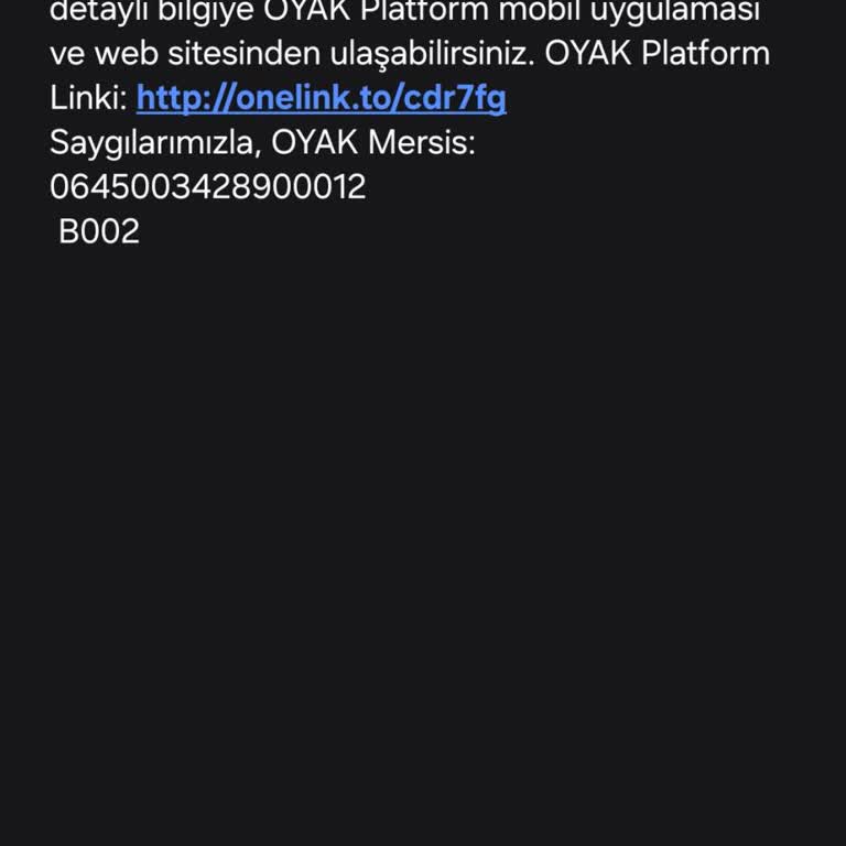 OYAK Hesaplarının Hacklenmesi Ve Kişisel Bilgilerin Güvenliği
