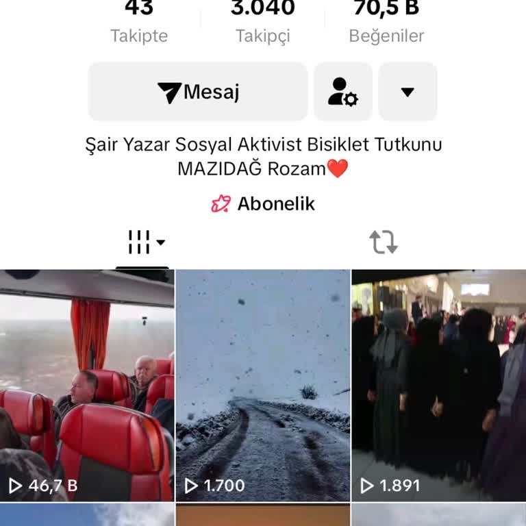 TikTok Hesabına Erişim Sorunu