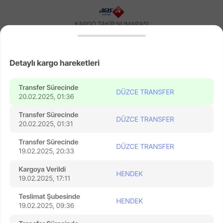 Kargo Teslimatında Yaşanan Büyük Sorunlar