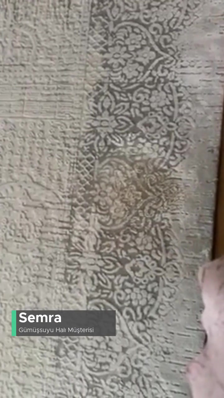 Gümüşsuyu Esiliva Halıda Leke Asla Çıkmıyor! videonun kapak resmi