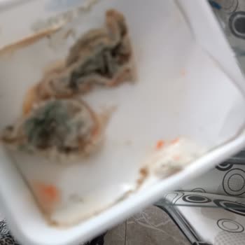 Dost Peynir Tadı Değişmiş