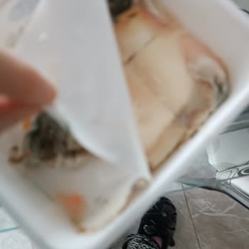 Dost Peynir Tadı Değişmiş