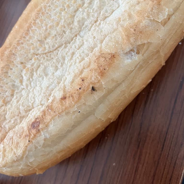 Ekmekte Sinek: Gıda Hijyeni Endişesi