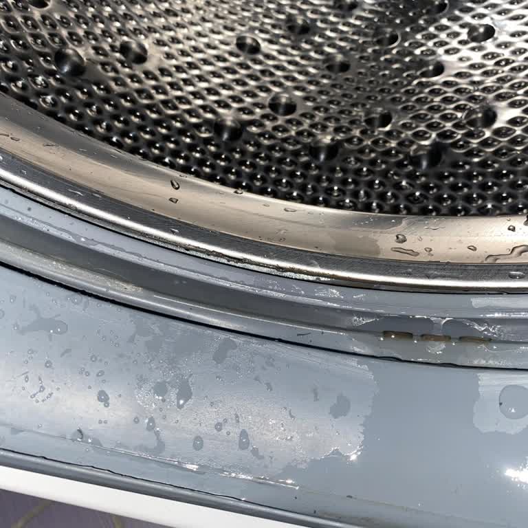 Vestel Çamaşır Makinesi Yanık Kokusu Ve Garanti Sorunu