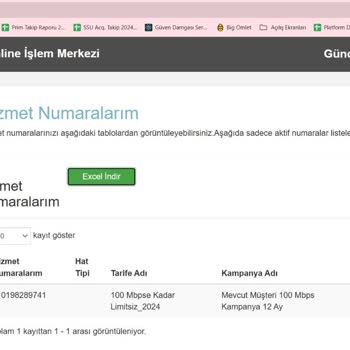 İnternet Hızında Taahhüt Edilen Seviyeye Ulaşamama