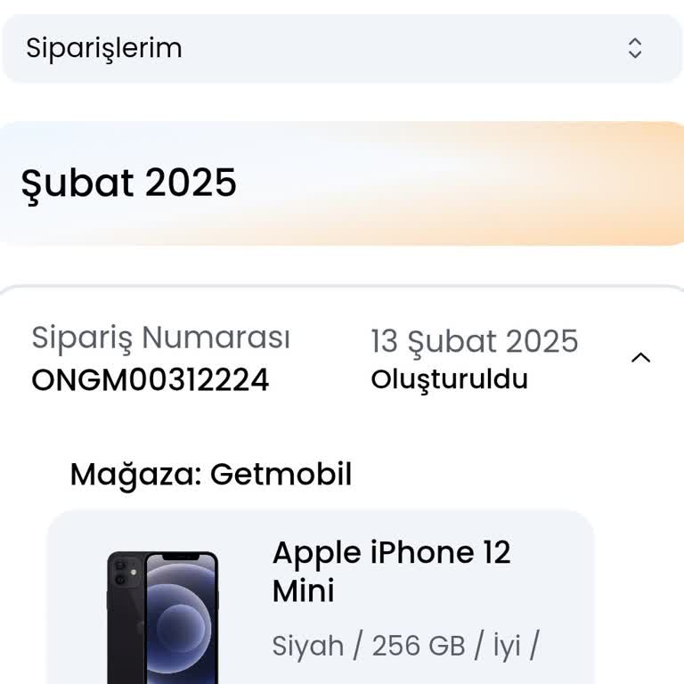 İphone 12 Mini Siparişim İptal Edilmiyor, Para Mı Çalıştırıyorlar?