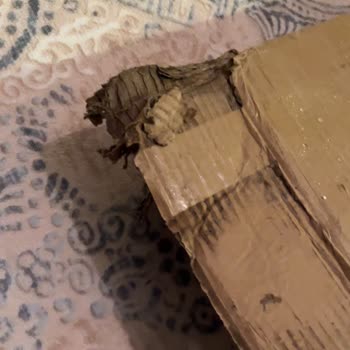 Aras Kargo'nun Duyarsız Teslimatı: Mobilya Islanma Tehlikesiyle Karşı Karşıya