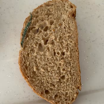 BİM'den Aldığım Ekmekte Hijyen Sorunu