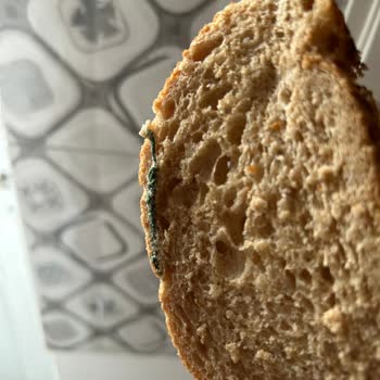 BİM'den Aldığım Ekmekte Hijyen Sorunu