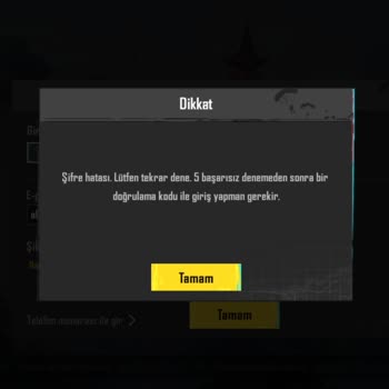 Yanlış Şifreyle Satın Alınan PUBG Hesabı Sorunu
