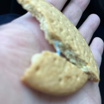 Bisküvinin İçinden Çıkan Plastik Parça Şoku