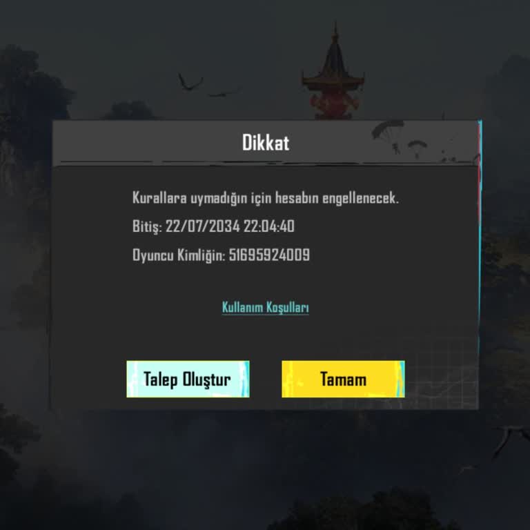 Pre Dünyam'da Hesap Sorunu Ve Destek Eksikliği
