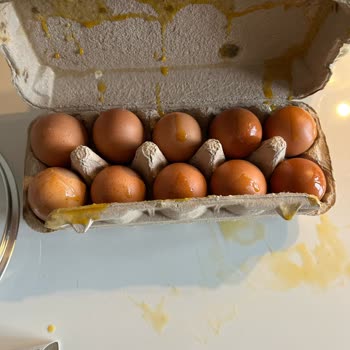 Migros Hemen Siparişimde Bozuk Ürün Skandalı: İade Sürecinde Yaşanan Zorluklar