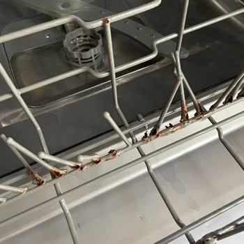 Teka Bulaşık Makinesi: Eriyen Plastik Ve Yetersiz Destek!