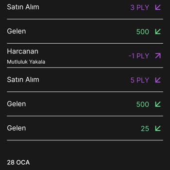 Oyun Kazancım Cüzdanıma Yansımadı!