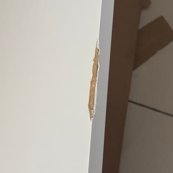 Defolu Ürün Ve Yetersiz Müşteri Hizmeti İle Hayal Kırıklığı