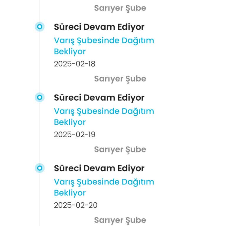 İstanbul İçi Kargo Dağıtımında Büyük Gecikme