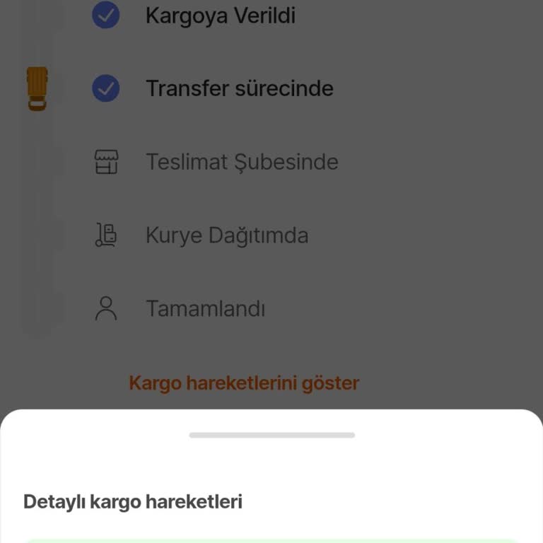Ankara TM'de Takılan Kargo: Premium Üyelik Mağduriyeti