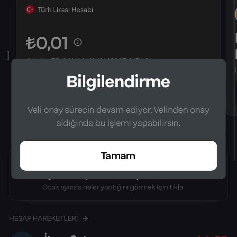 Papara NFC Sorunu Nedeniyle Veli Onayı Alınamıyor!