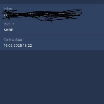 Bitexen'de Transfer Gecikmesi Ve İletişim Sorunları