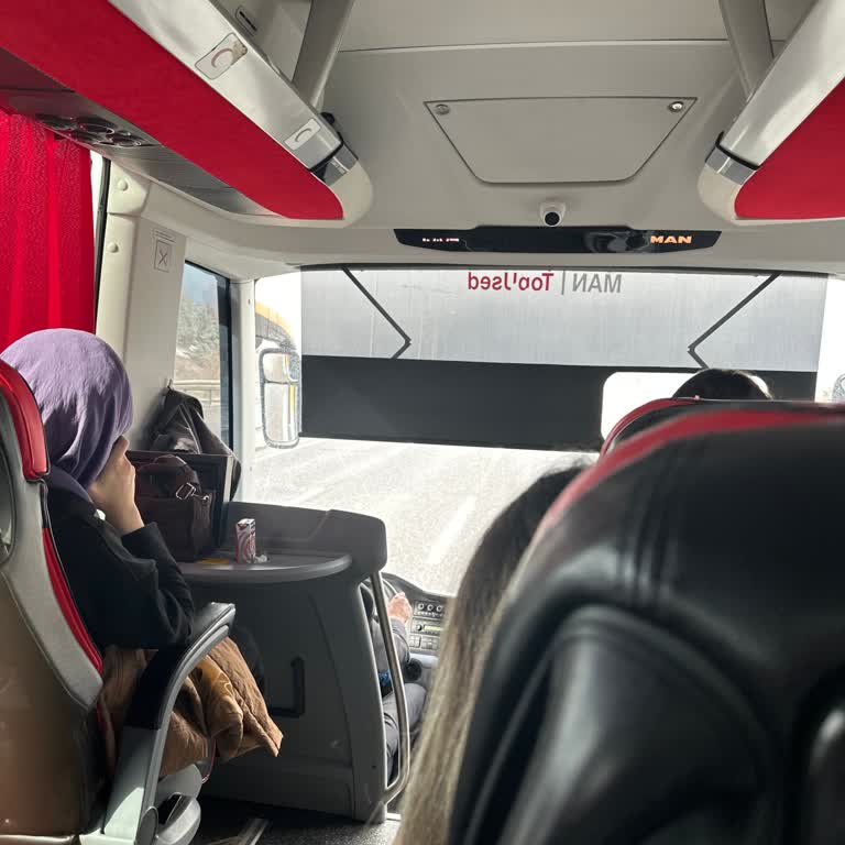 Mola Vermeyen Ve Dikkatsiz Şoför