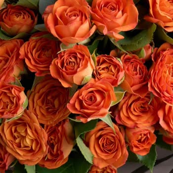 Çiçek Siparişinde Beklenen ile Gelen Arasındaki Farklar