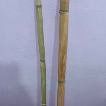 Ürün Paketleme Ve Renk Farklılıkları