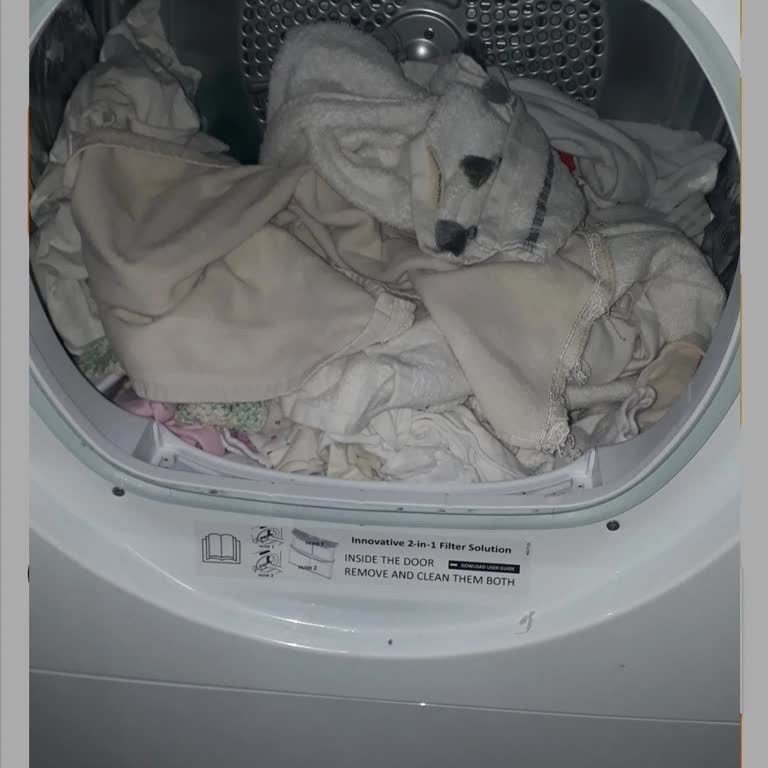 Hoover Kurutma Makinesi Hayal Kırıklığı