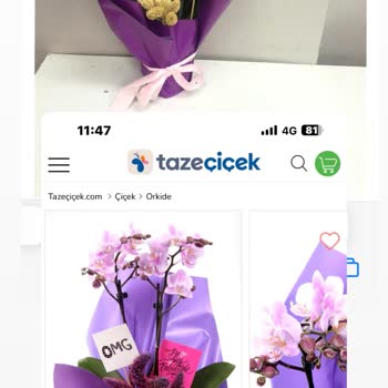 Taze Çiçek Siparişlerinde Hayal Kırıklığı